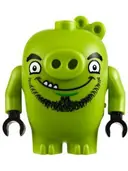 Minifigurka: ANG015:  Leonard