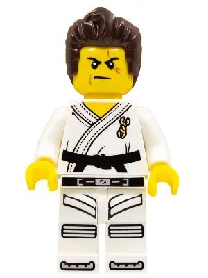 COL262:  Warrior - Male, Karate Dress with Black Belt, Dark Brown Hair, Scarred Eye
