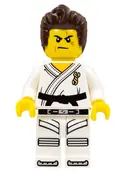 Minifigurka: COL262:  Warrior - Male, Karate Dress with Black Belt, Dark Brown Hair, Scarred Eye