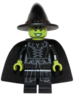 DIM005:  Wicked Witch