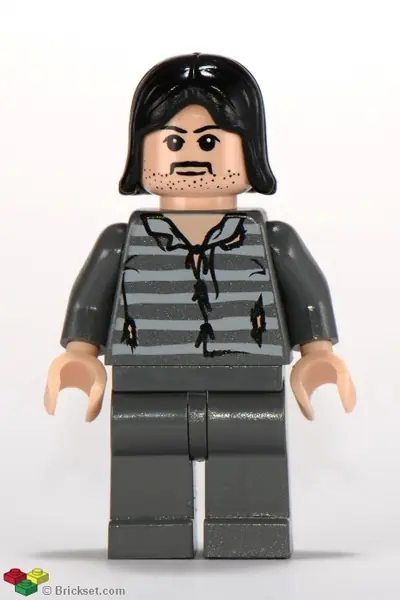 HP045:  Sirius Black - Black Hair