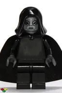 Minifigurka: HP081:  Death Eater - Black Hood and Cape