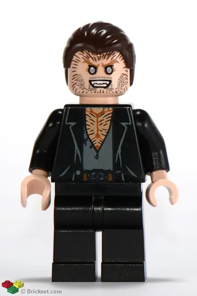 HP091:  Fenrir Greyback - Dark Brown Hair