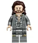 Minifigurka: HP174:  Sirius Black - Dark Brown Hair, Dark Bluish Gray Jacket over Tattered Striped Shirt, Printed Legs