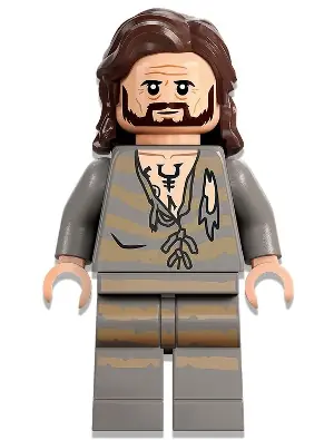 HP345:  Sirius Black - Dark Brown Hair, Light Bluish Gray Tattered Striped Shirt