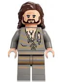 Minifigurka: HP345:  Sirius Black - Dark Brown Hair, Light Bluish Gray Tattered Striped Shirt