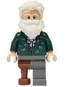 Minifigurka: HP554:  Professor Kettleburn