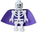 Minifigurka: IDEA188:  Skeleton - Standard Skull, Bent Arms Vertical Grip, Holographic Cape (Kildar the Wizard)