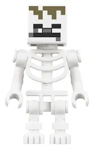 MIN102:  Skeleton, Minecraft Dungeons