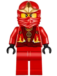 NJO0205:  Kai - Rebooted with ZX Hood