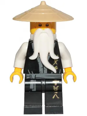 NJO0495:  Wu Sensei - Legacy, Black Robe