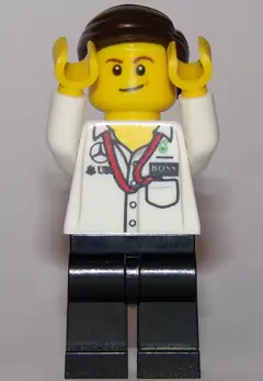 SC046:  Mercedes AMG Petronas Formula One Team Manager