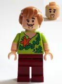 Minifigurka: SCD012:  Shaggy Rogers - Seaweed and Starfish Shirt