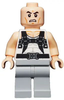 SH0192:  Rhino
