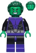 Minifigurka: SH0198:  Beast Boy