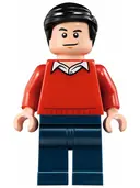 Minifigurka: SH0236:  Dick Grayson - Classic TV Series
