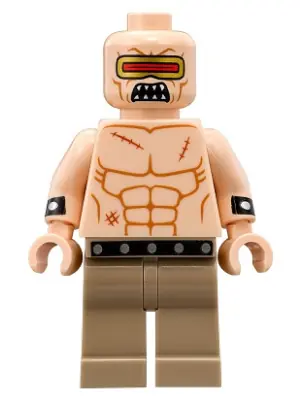 SH0396:  Mutant Leader