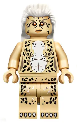 SH0635:  Cheetah (Dr. Barbara Minerva)