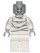 Minifigurka: SH0812:  Gorr