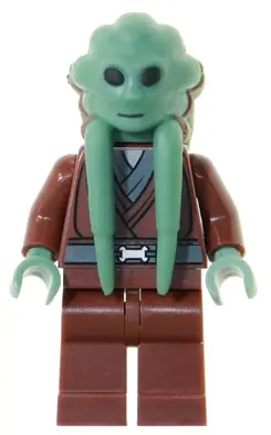 SW0163:  Kit Fisto