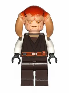SW0308:  Saesee Tiin - Dark Brown Robe, White Arms, Large Eyes