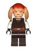 Minifigurka: SW0308:  Saesee Tiin - Dark Brown Robe, White Arms, Large Eyes