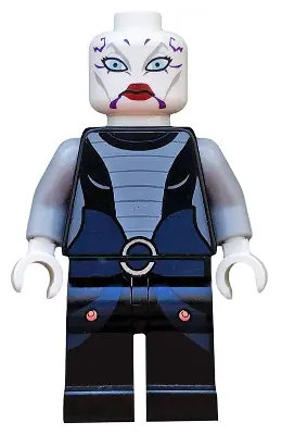 SW0318:  Asajj Ventress - Black Torso