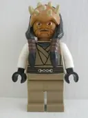Minifigurka: SW0332:  Eeth Koth