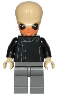 SW0554:  Bith Musician