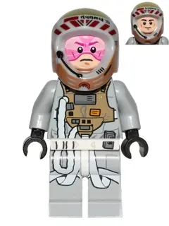 SW0558:  Gray Squadron Pilot (Horton Salm)