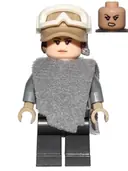 Minifigurka: SW0791:  Jyn Erso