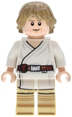 SW1491:  Luke Skywalker - SMART Minifigure, Tatooine