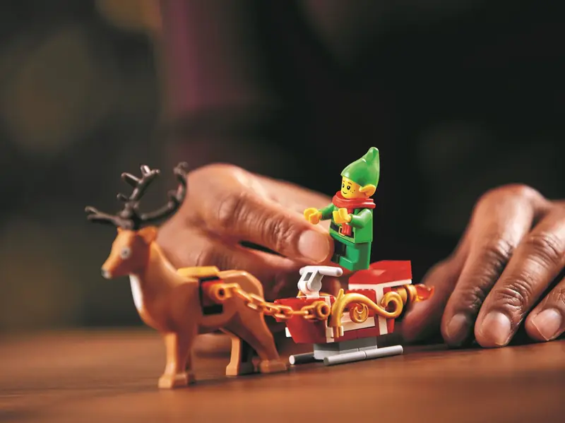 LEGO 10275 Domek elfów zdjęcie 26