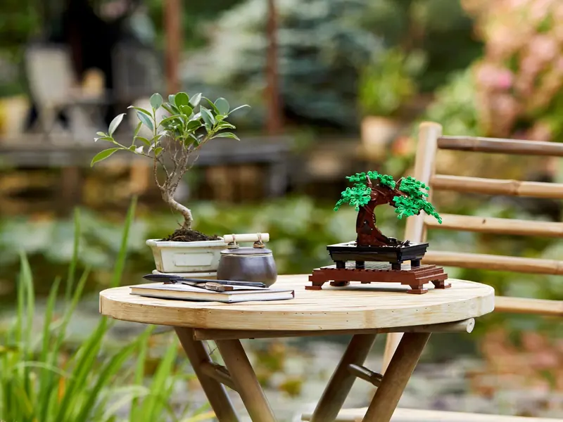 LEGO 10281 Drzewko bonsai zdjęcie 12