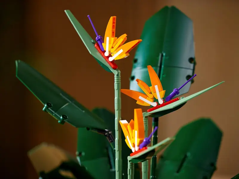 LEGO 10289 Strelicja królewska zdjęcie 14