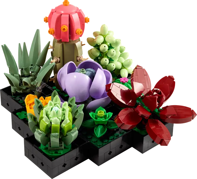 LEGO 10309 Sukulenty