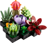 LEGO 10309 Sukulenty