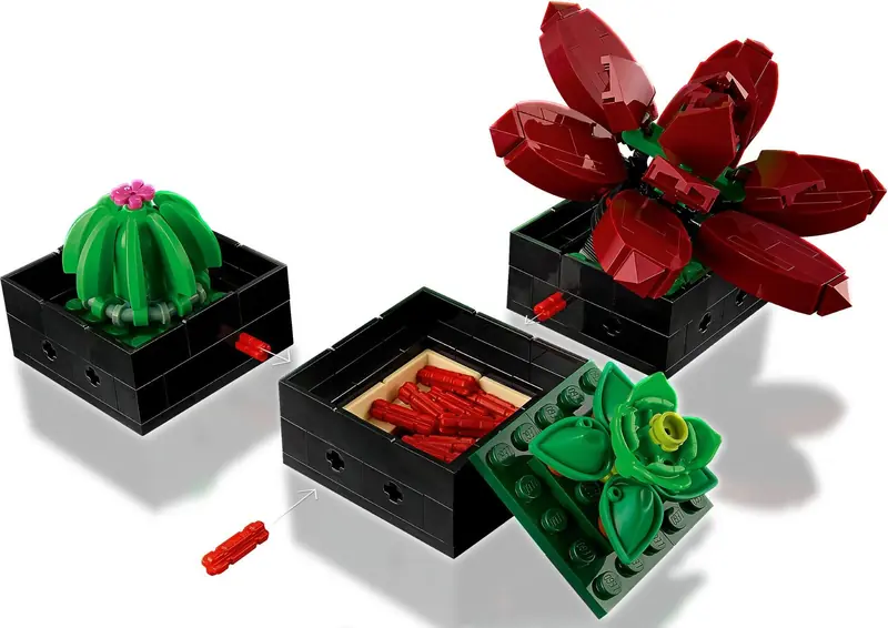 LEGO 10309 Sukulenty zdjęcie 6