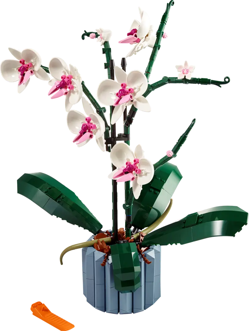 LEGO 10311 Orchidea