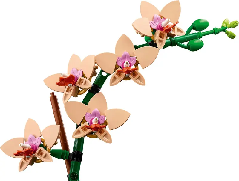 LEGO 10343 Mała orchidea zdjęcie 4