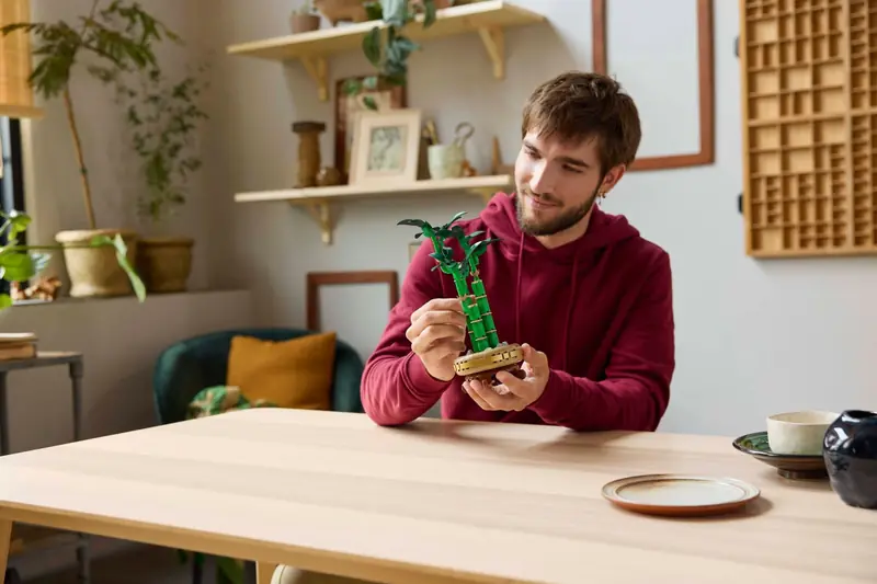 LEGO 10344 Dracena sandera zdjęcie 6