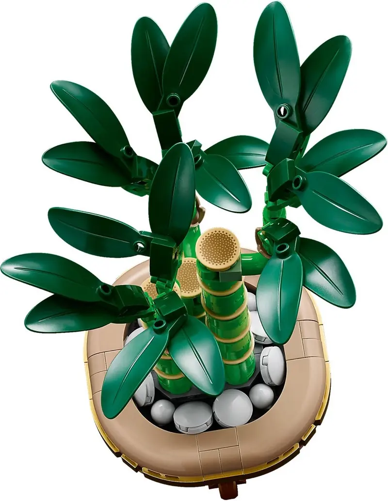 LEGO 10344 Dracena sandera zdjęcie 4