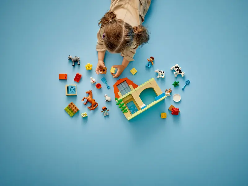 LEGO 10416 Opieka nad zwierzętami na farmie zdjęcie 7