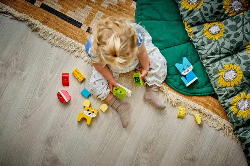 LEGO 10477 Kreatywne zwierzaki 3 w 1 zdjęcie 9