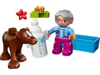 LEGO 10521 Cielaczek