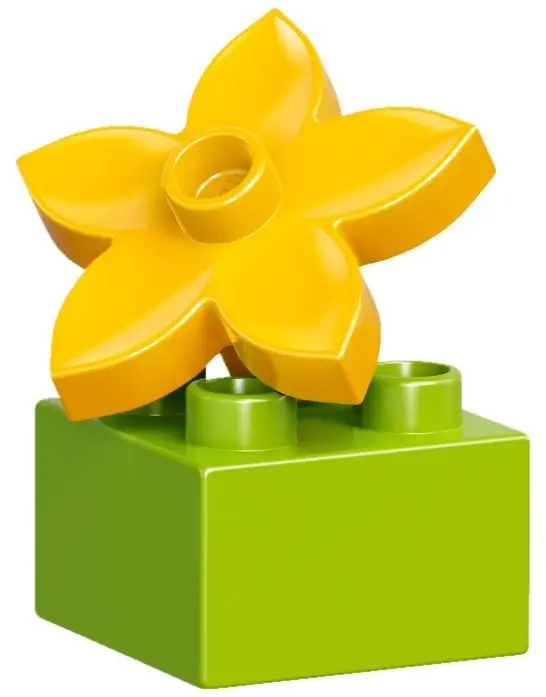 LEGO 10854 Zestaw kreatywny LEGO DUPLO zdjęcie 8