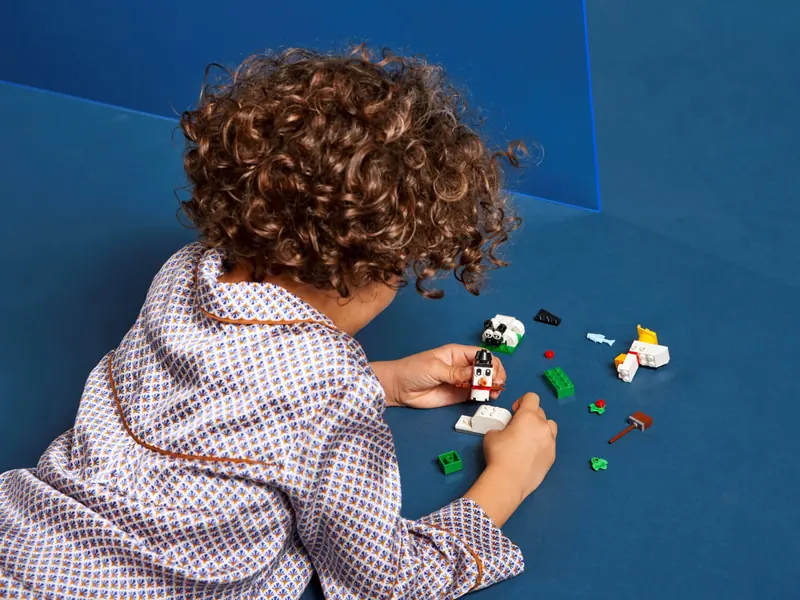 LEGO 11012 Kreatywne białe klocki zdjęcie 6