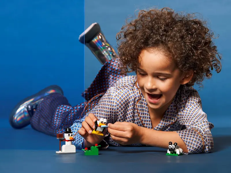 LEGO 11012 Kreatywne białe klocki zdjęcie 7