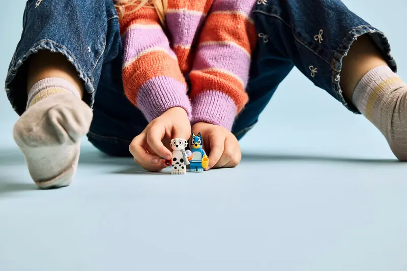 LEGO 11201 Blue i Łatka na placu zabaw zdjęcie 11
