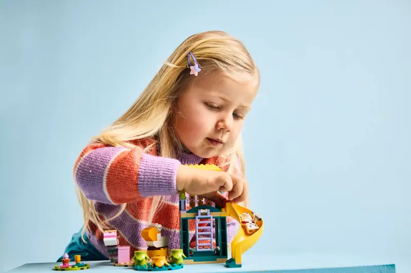 LEGO 11201 Blue i Łatka na placu zabaw zdjęcie 8